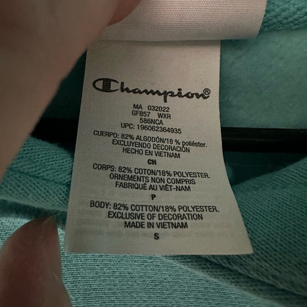 Champion heavyweight Hoodie Logo on front NWT - Picture 6 of 9